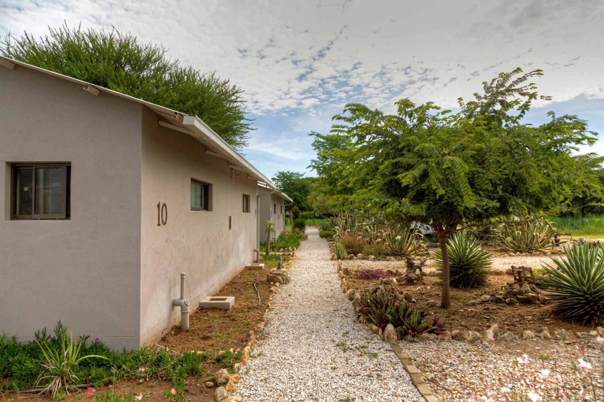 Khoi-Khoi Guesthouse Otavi المظهر الخارجي الصورة